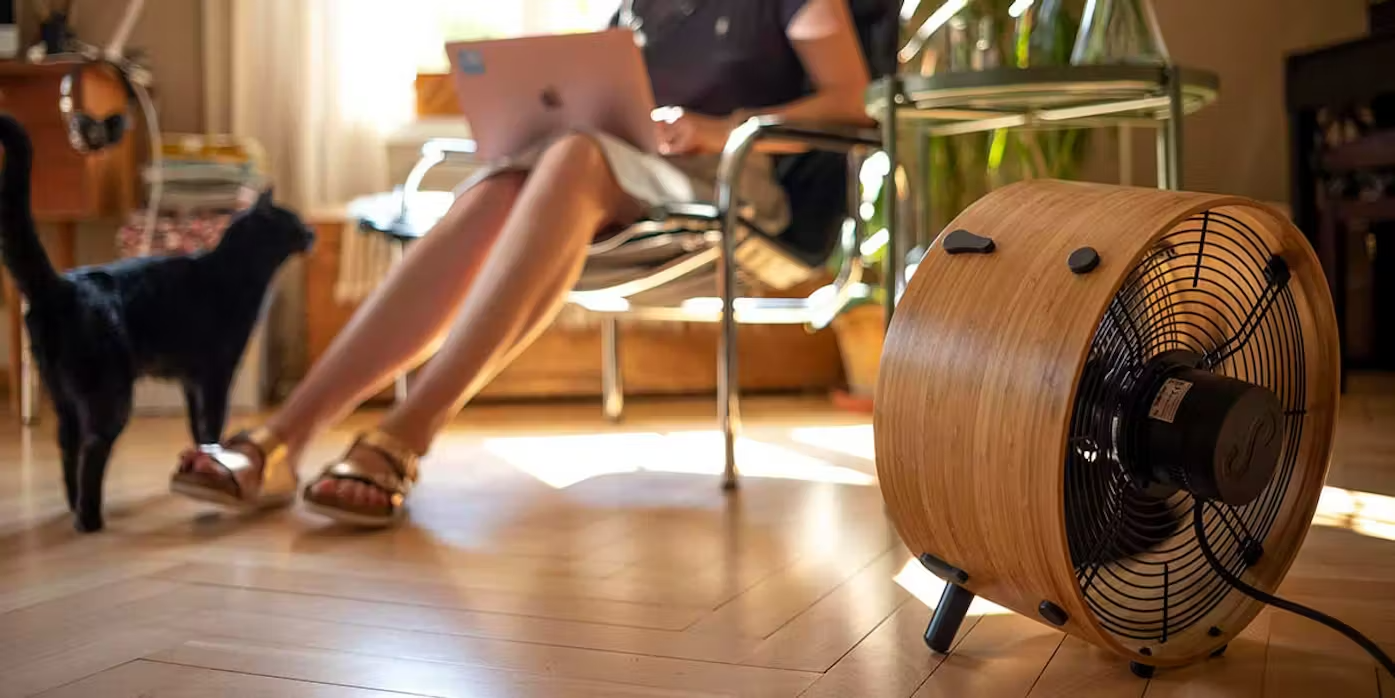 Stadler Form Otto floor fan in a living room with a cat