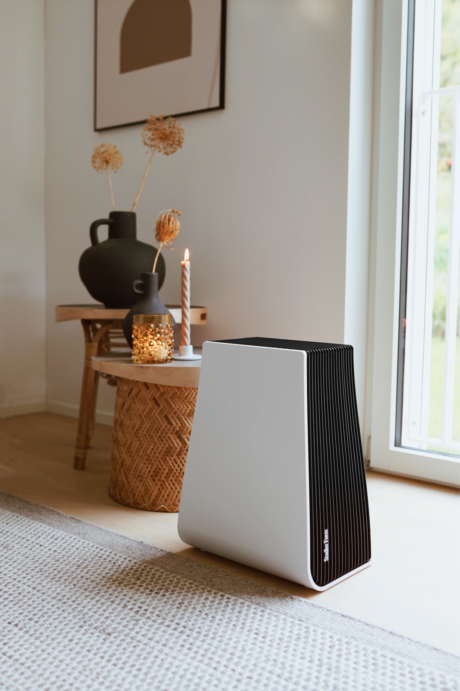 Stadler Form George air washer